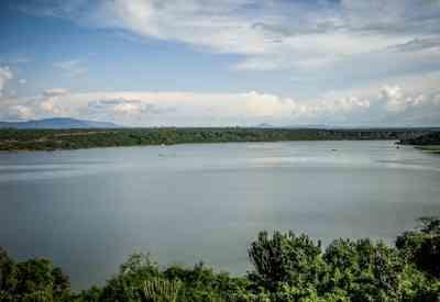 Queen Elizabeth National Park Safari