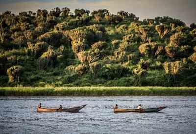 Murchison Falls National Park Safari
