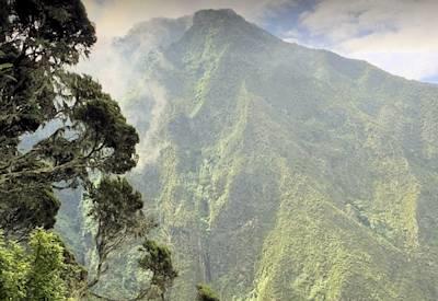 Mgahinga Gorilla National Park