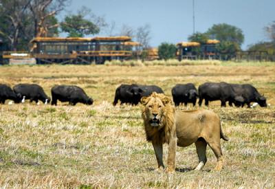 Kafue National Park