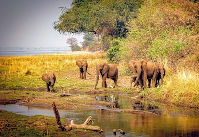 Lower Zambezi National Park