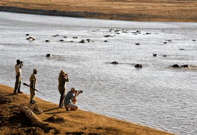 South Luangwa National Park