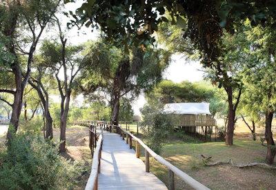 Wooden walkways and walking safaris