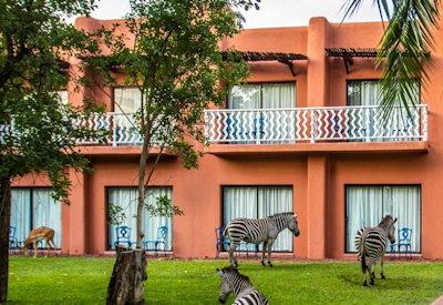 Wildlife on your doorstep