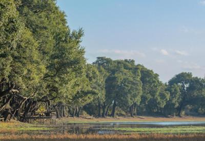 Wildlife lagoon within minutes of the Luangwa River