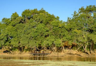 Wildlife and birdlife haven at Trails Camp