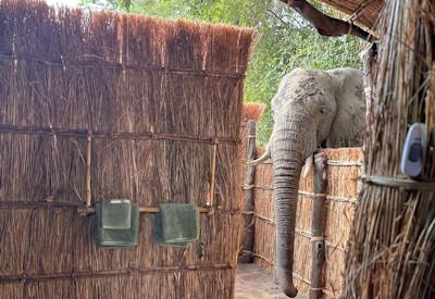 Open air en-suite bathrooms