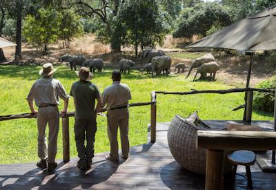 Home of the walking safari and a wildlife spectacle