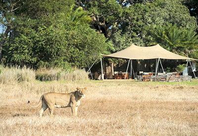 Busanga Bush Camp