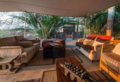 Classic safari lounge and bar area