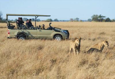 Kafue game drive safaris