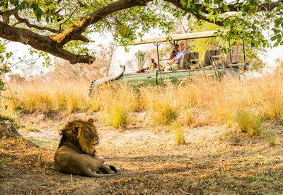 Busanga Plains game drives