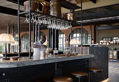 Bar area with views of the wildlife
