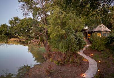 Armchair safaris for more sedentary wildlife viewing