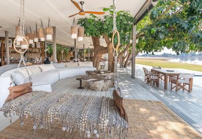Main lounge and viewing deck under ancient trees