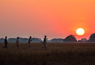 Walking safari and wildlife adventures