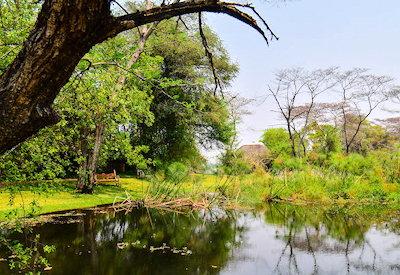 Beautiful Zambezi River setting
