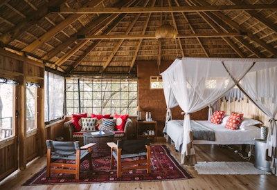 Luxurious Zambezi accommodation