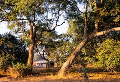 Camp as seen from Luangwa game drives