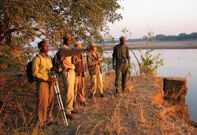 Kafunta Island walking safaris