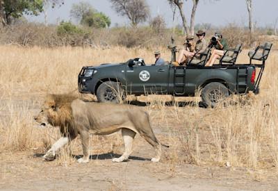 Safaris for keen photographers and wildlife conservation