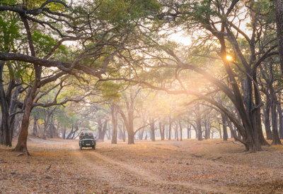 Luwi game drives in South Luangwa with abundant wildlife