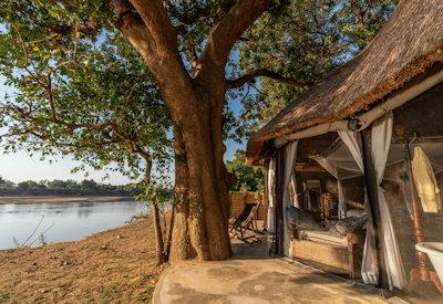 South Luangwa River bush camp under a ebony grove