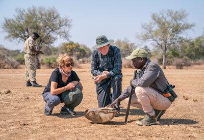 South Luangwa National park walking safaris