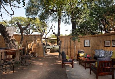 Mwamba Bushcamp offers a private stargazing treehouse