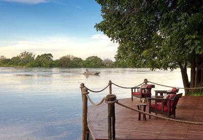 Magnificent Luangwa River views under a enormous ebony tree