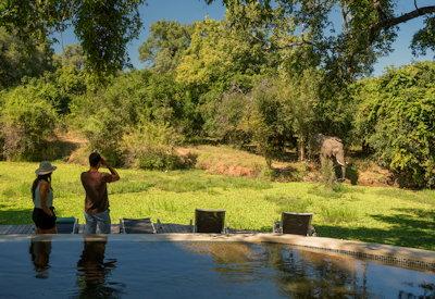 Wildlife in and around Nkwali under enormous african skies