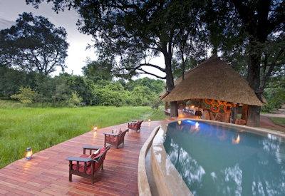 Main swimming pool surrounded by enhanced game viewing