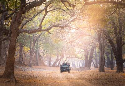 South Luangwa game drives in a dry river bed