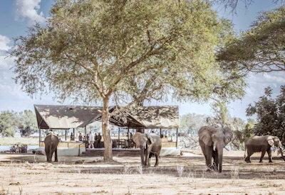 Fantastic wildlife and wilderness experience