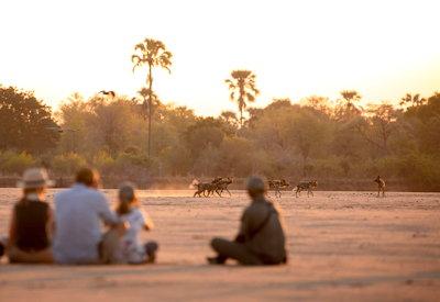 South Luangwa walking safaris on a Zambia luxury safari