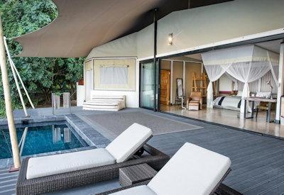 Private plunge pools and luxury suites at tree camp