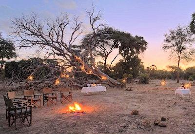 Wild safari experiences in the Lower Zambezi National Park