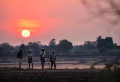Safaris with solar powered land cruisers