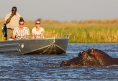 Expect front row seats to safari activities