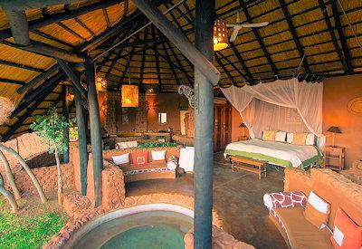 Large safari suites