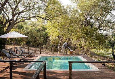 Entire lodge is surrounded by a forest and lagoon