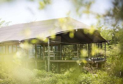 Tented safari suites