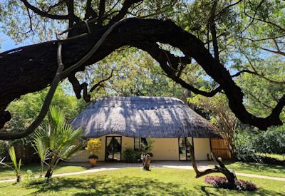 Luxury surrounded by a peaceful setting