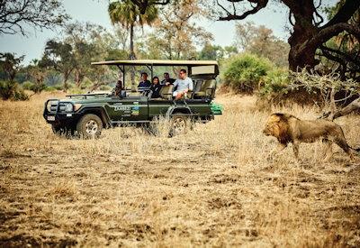 Game drives in the Lower Zambezi National Park