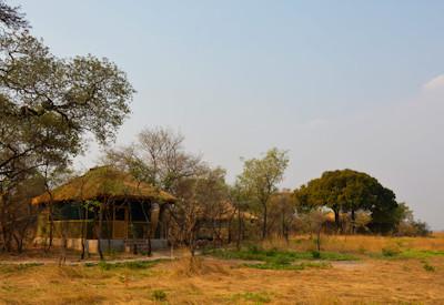 Game drives and canoeing safaris on the Zambezi River