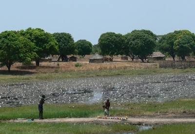 Lower Zambezi