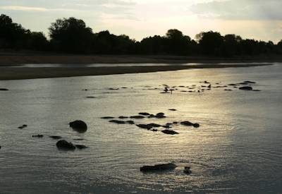 Lower Zambezi National Park