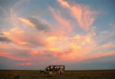 Walking safaris and game drives in Zambia