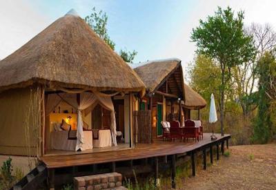 Explore parks and camps while wildlife viewing