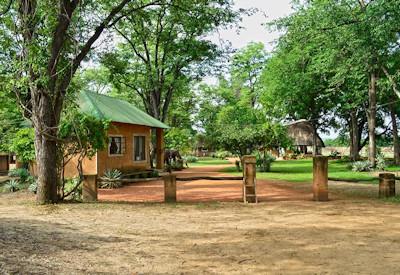 Walking safari at WIldife Camp